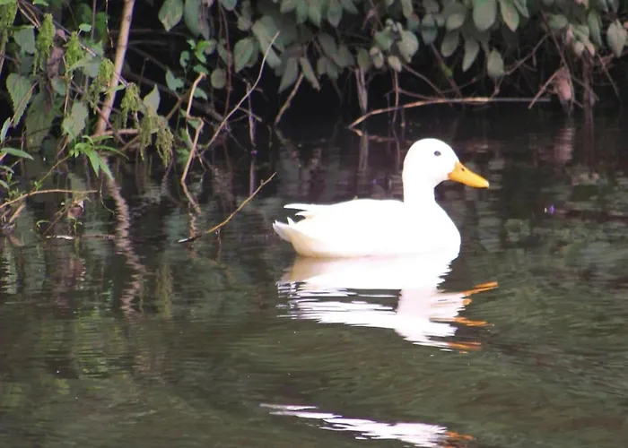 아파트 Am Kummerower See, Sommersdorf (Mecklenburg-Vorpommern)